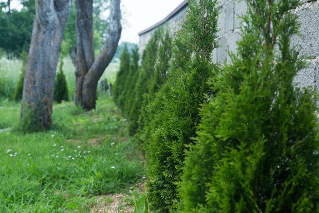 Willa Kuca Za Odmor Marija Vrhovine Zewnętrze zdjęcie